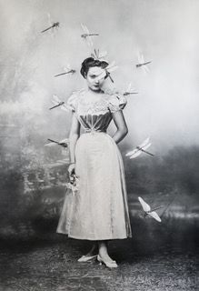 Kunstdruck Zoé Byland - Lady Dragonfly