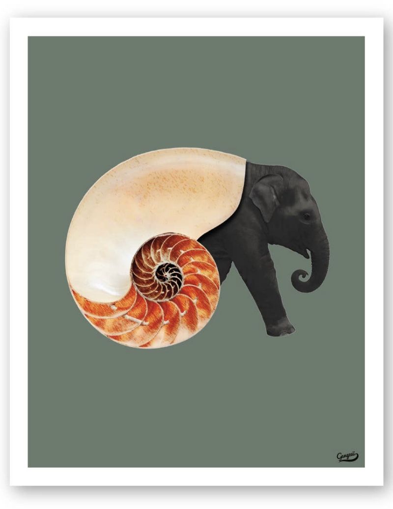 Shellephant Plakat